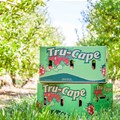 Tru-Cape's successful harvest tempered by currency volatility