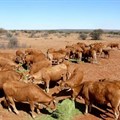 AFASA approves &quot;My Kraal&quot; app for member farms