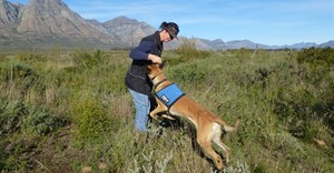 Conservation Detection Dog Project