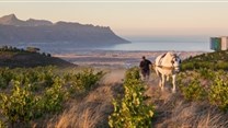 Experience the full circle of life with Waterkloof