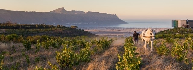 Experience the full circle of life with Waterkloof
