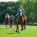 Taking a closer look at equine tourism