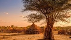 Additional Humanitarian Assistance for Ethiopia