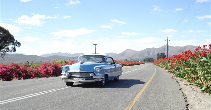 #CapeCountryRoutes: make a road trip of it