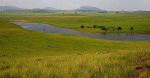 First protected area declared in Free State