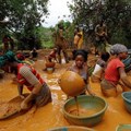 - Prospectors pan for gold at a gold mine on a cocoa farm near Bouafle, Ivory Coast in March. A gold rush in the Ivory Coast and Ghana threatens cocoa production in the two nations, which account for 60 percent of the world's supply of cocoa. Luc Gnago / Reuters