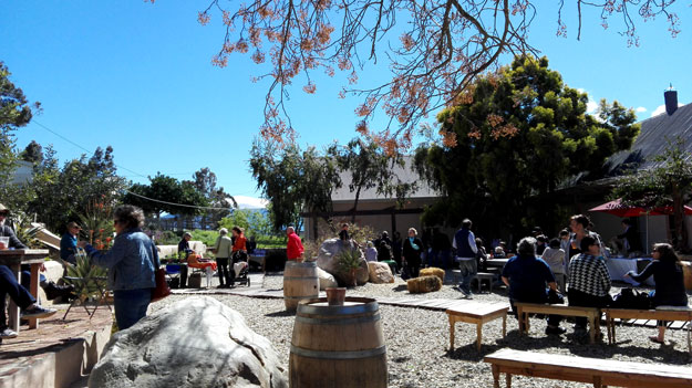 Spend a weekend in Tulbagh