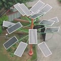 Indian scientists create device to collect solar energy more efficiently