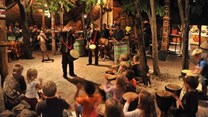 Visit The Boma for an ultra-sensory dinner and show