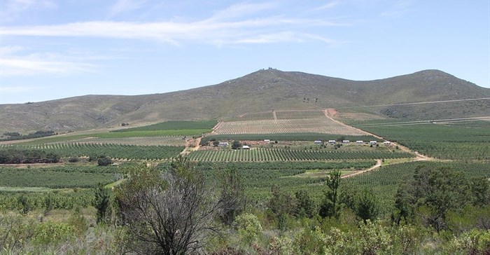 NJR ZA via  - Agriculture in Langkloof, Eastern Cape, South Africa.