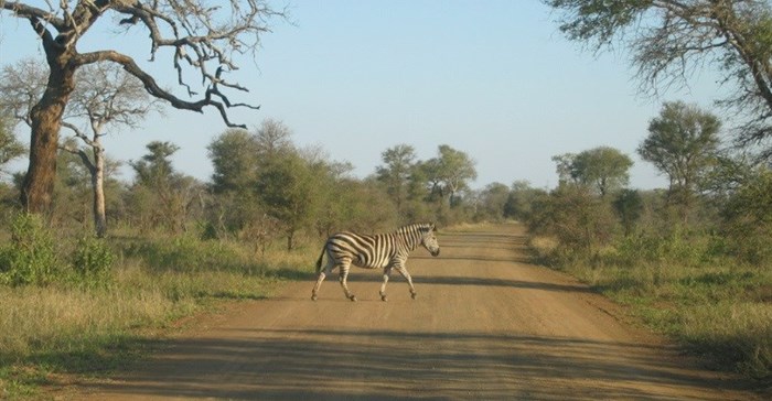 Maccoinnich via  - Kruger National Park