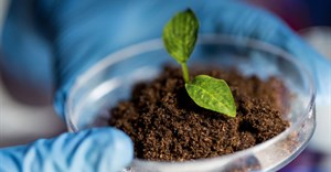 #InnovationMonth: Soil treatment that's just right