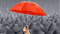 Brand building in recessionary times - is your brand geared to weather the storm?