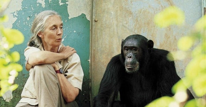G Adventures launches Jane Goodall Collection