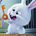 Uncover the delightful 'Secret Life of Pets'