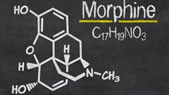 New painkiller could replace morphine: study