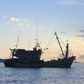 Fragmentation is bad for the fishing business