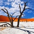 Frozen in time: the alluring beauty of Namibia's Deadvlei