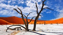 Frozen in time: the alluring beauty of Namibia's Deadvlei