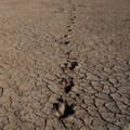 Severe Southern African drought to worsen: UN