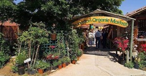 Organic market launches free shuttle service