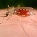 UP uses tech to tackle malaria