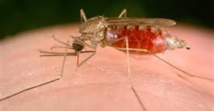 UP uses tech to tackle malaria