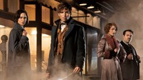 'Fantastic Beasts and Where to Find Them' captures the Potterverse magic