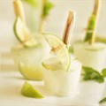 Gin and Tonic Lollies to welcome summer