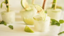 Gin and Tonic Lollies to welcome summer