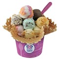 Baskin-Robbins to open at Canal Walk this December