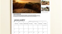 New rhino calendar from STROOP