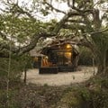 An experience with nature at Kosi Forest Lodge