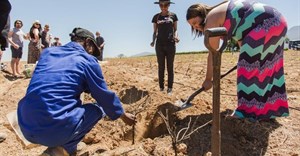 Nederburg stages special vine planting to honour founder's legacy