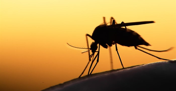 African malaria elimination improving, but still short of targets