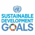 Why are the UN SDGS important?