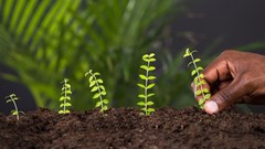 Private sector has vital role to play in land reform