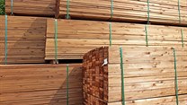Ensure imported wood is compliant, warns ITC-SA