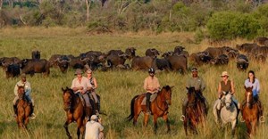 Ten reasons why you need to experience a luxury Botswana safari