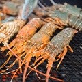 Legal crayfish seized and returned rotten