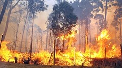 - Picture: Phando Jikelo/Cape Times