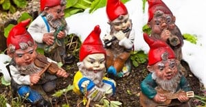 Gnomes, playing us the sad song of their people. Gina Sanders © –