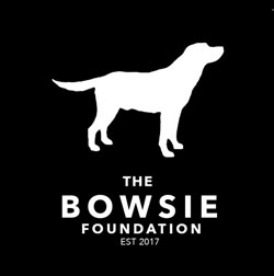 Shortstraw releases Bowsie