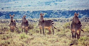 Ten reasons why you should explore the Karoo in 2017
