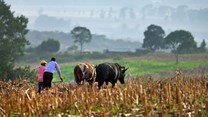African agriculture on the World Economic Forum annual meeting agenda