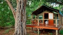 Discover Moremi Game Reserve