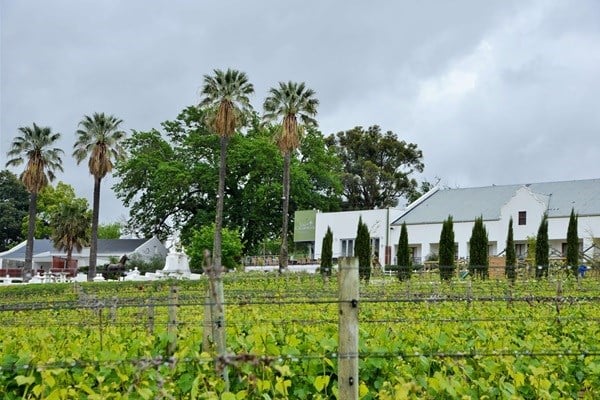 The tempting vineyards at Val du Charron.