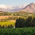 Buyers in Cape Winelands predominantly Gauteng semigrants, increasingly Europeans