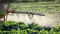Debate over glyphosate rages in South Africa