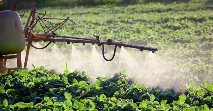 Debate over glyphosate rages in South Africa